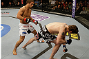SAN JOSE, CA - APRIL 20:   (L-R) Chad Mendes follows Darren Elkins to the canvas in their featherweight bout during the UFC on FOX event at the HP Pavilion on April 20, 2013 in San Jose, California.  (Photo by Ezra Shaw/Zuffa LLC/Zuffa LLC via Getty Images)  *** Local Caption *** Chad Mendes; Darren Elkins