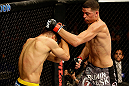 SAN JOSE, CA - APRIL 20:   (R-L) Nate Diaz punches Josh Thomson in their lightweight bout during the UFC on FOX event at the HP Pavilion on April 20, 2013 in San Jose, California.  (Photo by Ezra Shaw/Zuffa LLC/Zuffa LLC via Getty Images)  *** Local Caption *** Nate Diaz; Josh Thomson