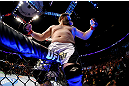 NEWARK, NJ - APRIL 27:  Roy Nelson sits on the side of the octagon in celebration of his win by knockout against Cheick Kongo of France in their heavyweight bout during the UFC 159 event at the Prudential Center on April 27, 2013 in Newark, New Jersey.  (Photo by Al Bello/Zuffa LLC/Zuffa LLC Via Getty Images)