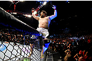 NEWARK, NJ - APRIL 27:  Roy Nelson celebrates his win by knockout against Cheick Kongo of France in their heavyweight bout during the UFC 159 event at the Prudential Center on April 27, 2013 in Newark, New Jersey.  (Photo by Al Bello/Zuffa LLC/Zuffa LLC Via Getty Images)