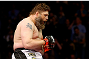 NEWARK, NJ - APRIL 27:  Roy Nelson sits on the side of the octagon in celebration of his win by knockout against Cheick Kongo of France in their heavyweight bout during the UFC 159 event at the Prudential Center on April 27, 2013 in Newark, New Jersey.  (Photo by Al Bello/Zuffa LLC/Zuffa LLC Via Getty Images)