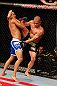 JARAGUA DO SUL, BRAZIL - MAY 18:   (L-R) Jussier Formiga attempts to take down Chris Cariaso in their flyweight bout during the UFC on FX event on May 18, 2013 at Arena Jaragua in Jaragua do Sul, Santa Catarina, Brazil.  (Photo by Josh Hedges/Zuffa LLC/Zuffa LLC via Getty Images)
