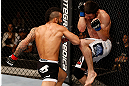JARAGUA DO SUL, BRAZIL - MAY 18:   (L-R) John Lineker punches Azamat Gashimov in their flyweight bout during the UFC on FX event on May 18, 2013 at Arena Jaragua in Jaragua do Sul, Santa Catarina, Brazil.  (Photo by Josh Hedges/Zuffa LLC/Zuffa LLC via Getty Images)