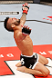 JARAGUA DO SUL, BRAZIL - MAY 18:   John Lineker reacts after knocking out Azamat Gashimov in their flyweight bout during the UFC on FX event on May 18, 2013 at Arena Jaragua in Jaragua do Sul, Santa Catarina, Brazil.  (Photo by Josh Hedges/Zuffa LLC/Zuffa LLC via Getty Images)