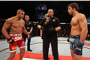 JARAGUA DO SUL, BRAZIL - MAY 18:   (L-R) Opponents Vitor Belfort and Luke Rockhold face off before their middleweight bout during the UFC on FX event on May 18, 2013 at Arena Jaragua in Jaragua do Sul, Santa Catarina, Brazil.  (Photo by Josh Hedges/Zuffa LLC/Zuffa LLC via Getty Images)