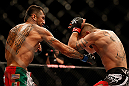 LAS VEGAS, NV - MAY 25:   (L-R) Estevan Payan punches Jeremy Stephens in their featherweight bout during UFC 160 at the MGM Grand Garden Arena on May 25, 2013 in Las Vegas, Nevada.  (Photo by Josh Hedges/Zuffa LLC/Zuffa LLC via Getty Images)  *** Local Caption *** Jeremy Stephens; Estevan Payan