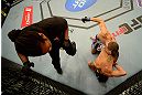LAS VEGAS, NV - MAY 25:   Referee Herb Dean (left) looks on as George Roop (top) punches Brian Bowles (bottom) in their bantamweight bout during UFC 160 at the MGM Grand Garden Arena on May 25, 2013 in Las Vegas, Nevada.  (Photo by Donald Miralle/Zuffa LLC/Zuffa LLC via Getty Images)  *** Local Caption *** Brian Bowles; George Roop; Herb Dean