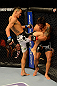 LAS VEGAS, NV - MAY 25:   (L-R) Max Holloway knees Dennis Bermudez in their featherweight bout during UFC 160 at the MGM Grand Garden Arena on May 25, 2013 in Las Vegas, Nevada.  (Photo by Donald Miralle/Zuffa LLC/Zuffa LLC via Getty Images)  *** Local Caption *** Dennis Bermudez; Max Holloway