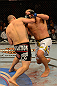 LAS VEGAS, NV - MAY 25:   (L-R) Cain Velasquez punches Antonio Silva in their heavyweight championship bout during UFC 160 at the MGM Grand Garden Arena on May 25, 2013 in Las Vegas, Nevada.  (Photo by Donald Miralle/Zuffa LLC/Zuffa LLC via Getty Images)  *** Local Caption *** Cain Velasquez; Antonio Silva