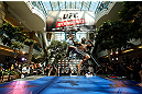 WINNIPEG, CANADA - JUNE 12:  Yves Jabouin holds an open workout session for fans and media at Portage Place on June 12, 2013 in Winnipeg, Manitoba, Canada.  (Photo by Josh Hedges/Zuffa LLC/Zuffa LLC via Getty Images)