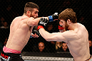 WINNIPEG, CANADA - JUNE 15:  (L-R) John Maguire punches Mitch Clarke in their lightweight fight during the UFC 161 event at the MTS Centre on June 15, 2013 in Winnipeg, Manitoba, Canada.  (Photo by Josh Hedges/Zuffa LLC/Zuffa LLC via Getty Images)