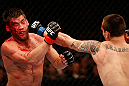 WINNIPEG, CANADA - JUNE 15:  (R-L) James Krause punches Sam Stout in their lightweight fight during the UFC 161 event at the MTS Centre on June 15, 2013 in Winnipeg, Manitoba, Canada.  (Photo by Josh Hedges/Zuffa LLC/Zuffa LLC via Getty Images)
