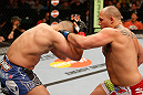 WINNIPEG, CANADA - JUNE 15:  (R-L) Shawn Jordan punches Pat Barry in their heavyweight fight during the UFC 161 event at the MTS Centre on June 15, 2013 in Winnipeg, Manitoba, Canada.  (Photo by Josh Hedges/Zuffa LLC/Zuffa LLC via Getty Images)