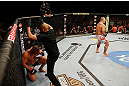 WINNIPEG, CANADA - JUNE 15:  (R-L) Shawn Jordan reacts after knocking out Pat Barry in their heavyweight fight during the UFC 161 event at the MTS Centre on June 15, 2013 in Winnipeg, Manitoba, Canada.  (Photo by Josh Hedges/Zuffa LLC/Zuffa LLC via Getty Images)