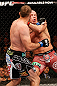 WINNIPEG, CANADA - JUNE 15:  (L-R) Igor Pokrajac punches Ryan Jimmo in their light heavyweight fight during the UFC 161 event at the MTS Centre on June 15, 2013 in Winnipeg, Manitoba, Canada.  (Photo by Josh Hedges/Zuffa LLC/Zuffa LLC via Getty Images)