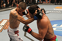 UFC 130: Barao vs. Escovedo