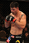 UFC 130: Brian Stann