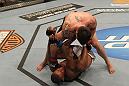 UFC 130: Stann vs. Santiago