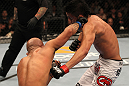 UFC 130: Torres vs. Johnson