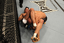 UFC 130: Torres vs. Johnson