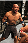 UFC 130: Demetrious Johnson
