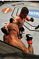 UFC 130: Alves vs. Story