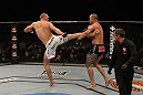 UFC 130: Struve vs. Browne