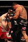 UFC 130: Mir vs. Nelson
