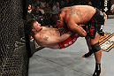 UFC 130: Mir vs. Nelson