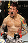 The Ultimate Fighter Season 13 Finale: Scott Jorgensen celebrates his win.