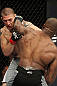 The Ultimate Fighter Season 13 Finale: McGilivray vs. Bailey