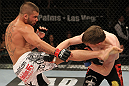 The Ultimate Fighter Season 13 Finale: Stephens vs. Downes