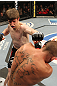 The Ultimate Fighter Season 13 Finale: Stephens vs. Downes