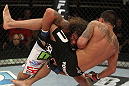 The Ultimate Fighter Season 13 Finale: Guida vs. Pettis