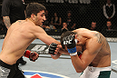 The Ultimate Fighter Season 13 Finale: Nijem vs. Ferguson