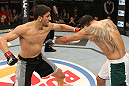 The Ultimate Fighter Season 13 Finale: Nijem vs. Ferguson