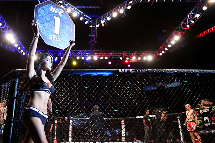 RIO DE JANEIRO, BRAZIL - OCTOBER 13:  UFC Octagon Girl Arianny Celeste introduces a round at UFC 153 inside HSBC Arena on October 13, 2012 in Rio de Janeiro, Brazil.  (Photo by Josh Hedges/Zuffa LLC/Zuffa LLC via Getty Images)