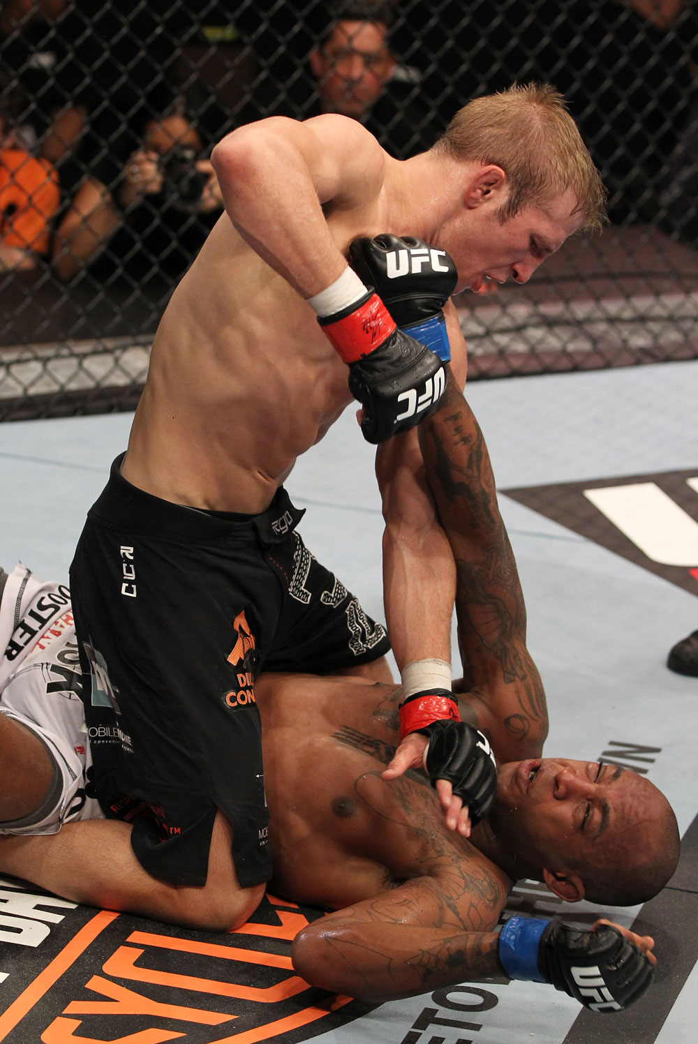 Dillashaw mounts Watson Dillashaw mounts Watson