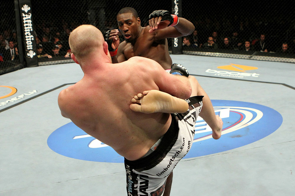 UFC 123: Auburn Hills, Michigan
