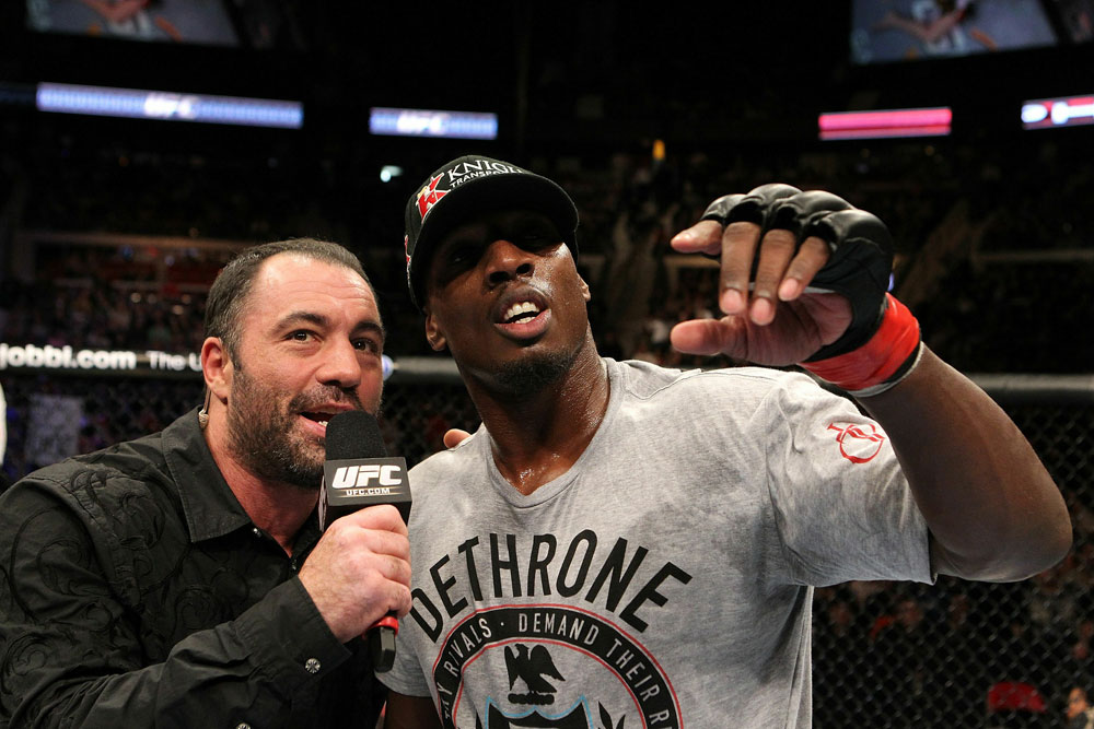 UFC 123: Auburn Hills, Michigan