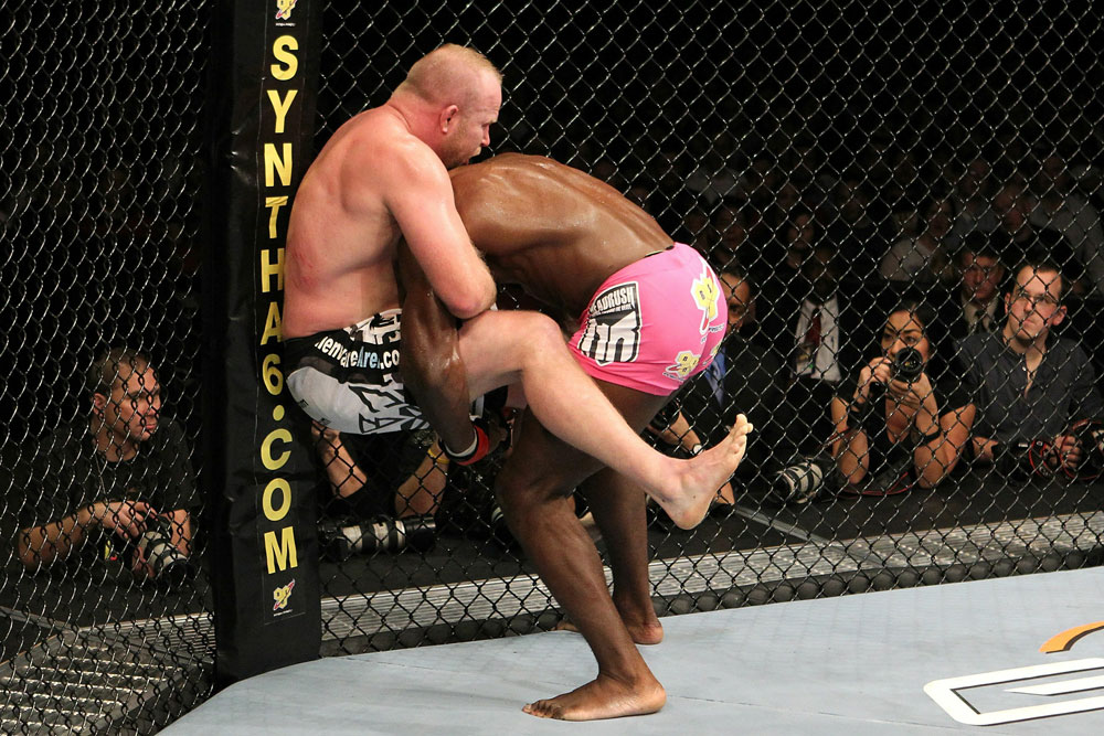 UFC 123: Auburn Hills, Michigan