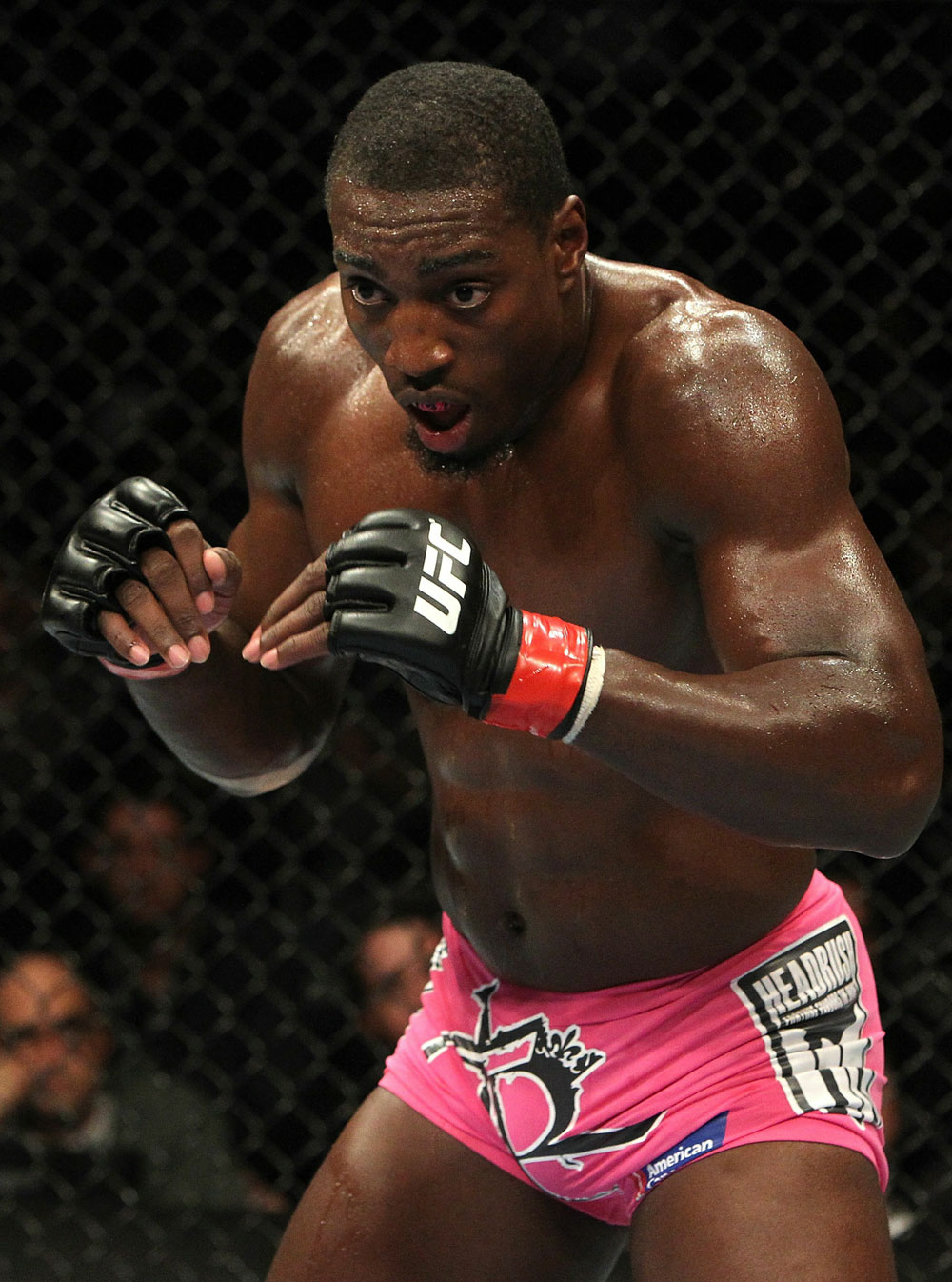 UFC 123: Auburn Hills, Michigan