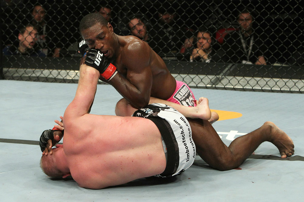 UFC 123: Auburn Hills, Michigan