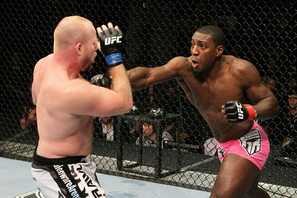 UFC 123: Auburn Hills, Michigan