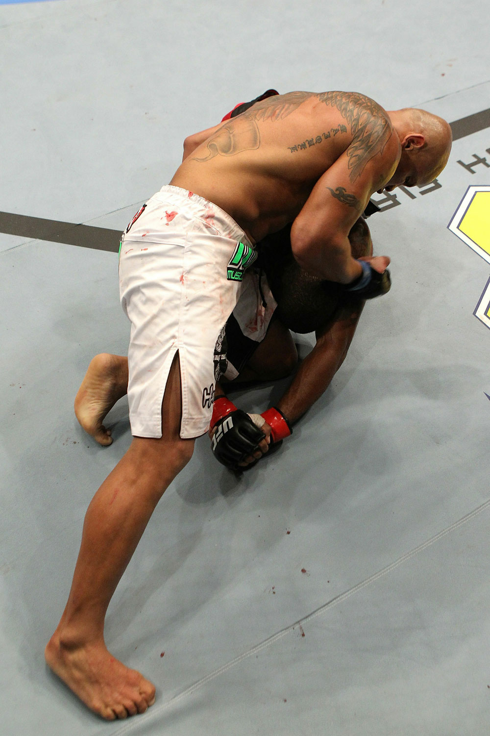 UFC 123: Auburn Hills, Michigan