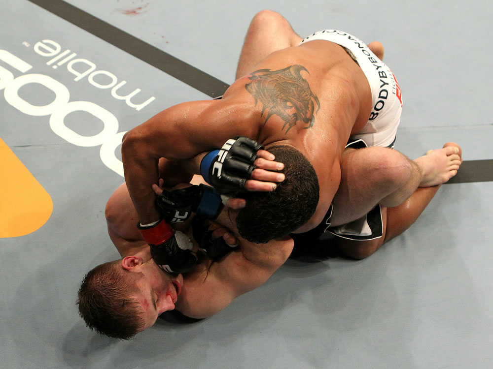 UFC 123: Tyson Griffin vs. Nik Lentz
