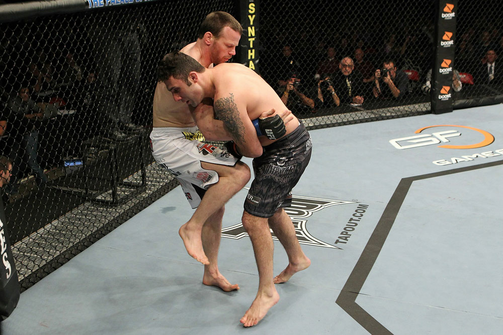 UFC 123: Dennis Hallman vs. Karo Parisyan