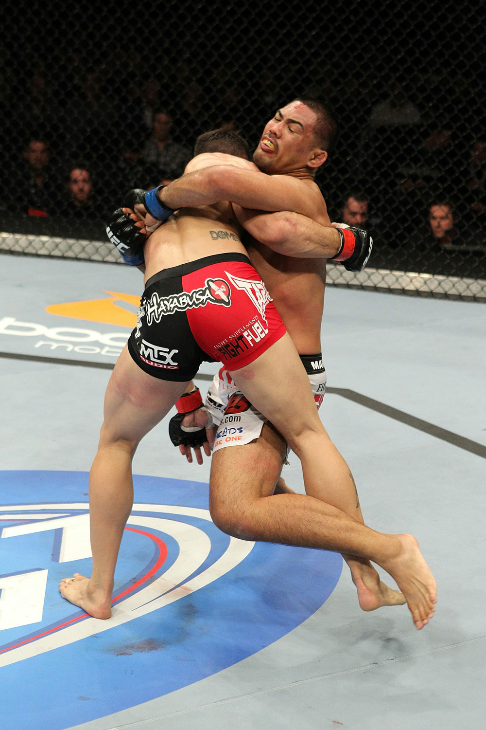 UFC 123: Mark Munoz vs Aaron Simpson