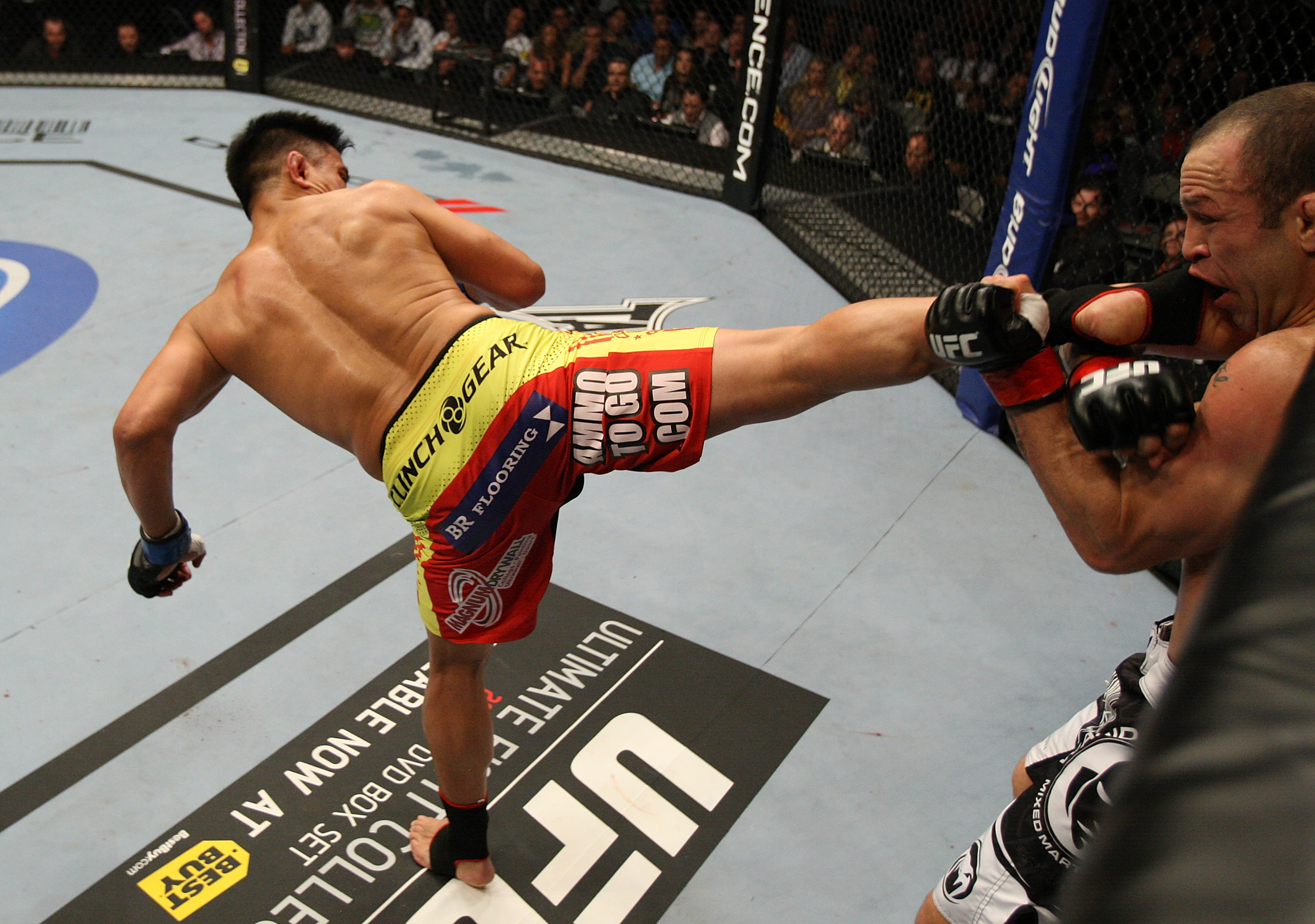 Le vs Wanderlei Silva