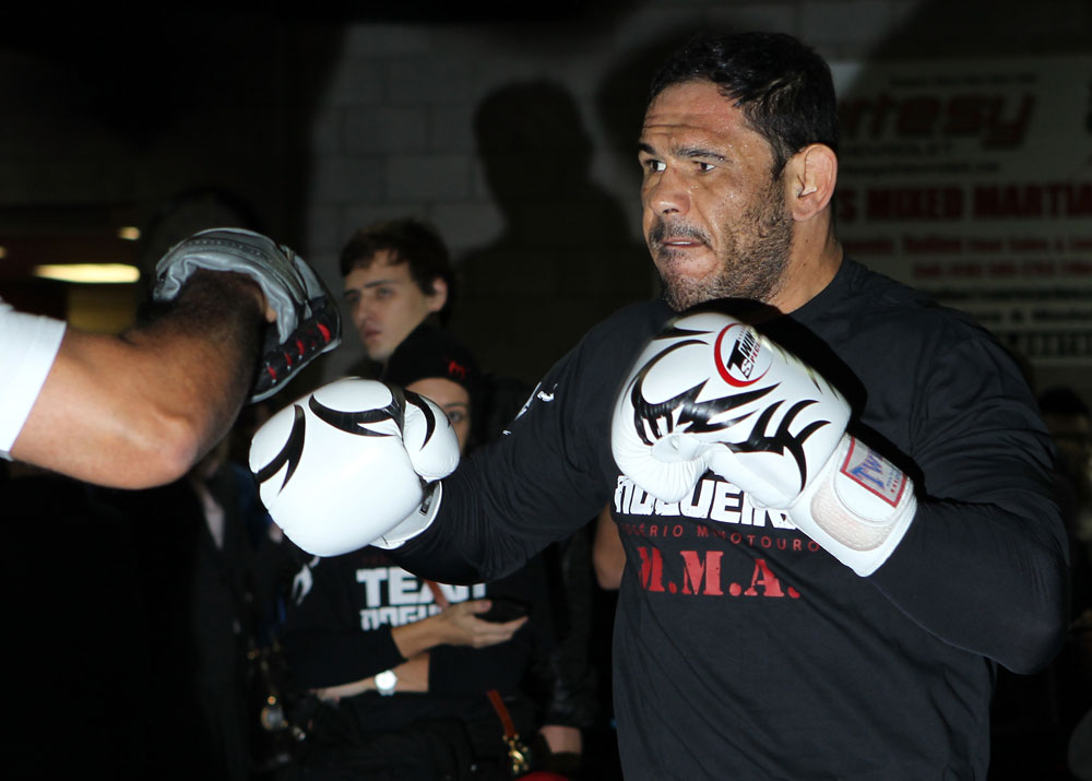 TORONTO, ON - DECEMBER 07:  Antonio Rogerio "Minotoro" Nogueira works out for the fans and media during the UFC 140 Open Workouts at the Xtreme Couture Gym on December 7, 2011 in Toronto, Ontario.  (Photo by Josh Hedges/Zuffa LLC/Zuffa LLC via Getty Images)